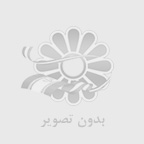 جنگل های در حال انقراض